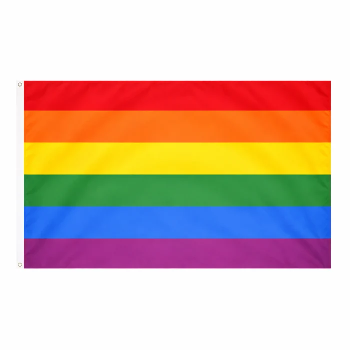 Vlag regenboog - 150 x 90 cm