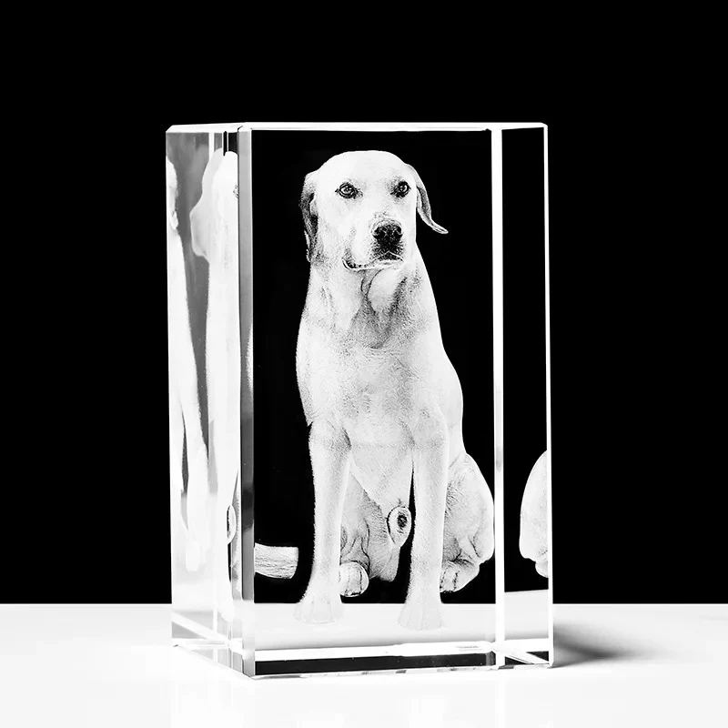 Gepersonaliseerd Kristallen Fotoblok | 2D & 3D Lasergravure Cadeau