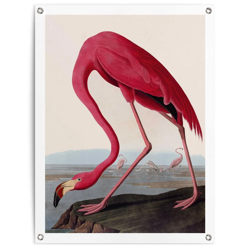 Reinders tuinposter Flamingo - 80x60cm
