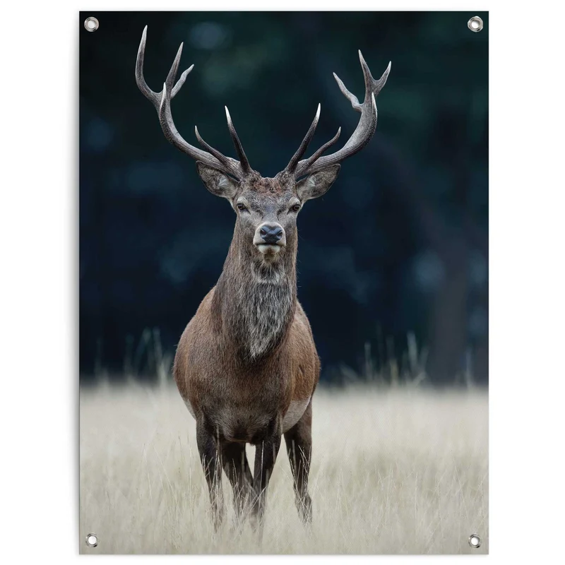 Reinders tuinposter Hert - 80x60cm