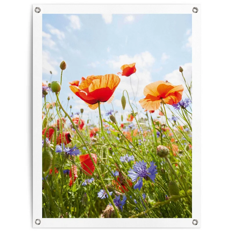 Reinders tuinposter Bloemenveld - 80x60cm