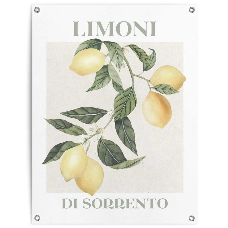 Reinders tuinposter Limoni - 80x60cm